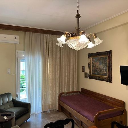 Theoni Central Apartment Kalampáka Luaran gambar
