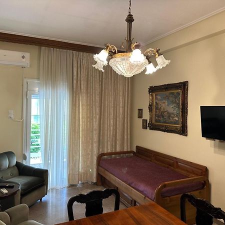 Theoni Central Apartment Kalampáka Luaran gambar