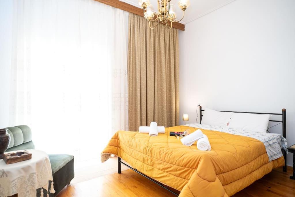 Theoni Central Apartment Kalampáka Luaran gambar