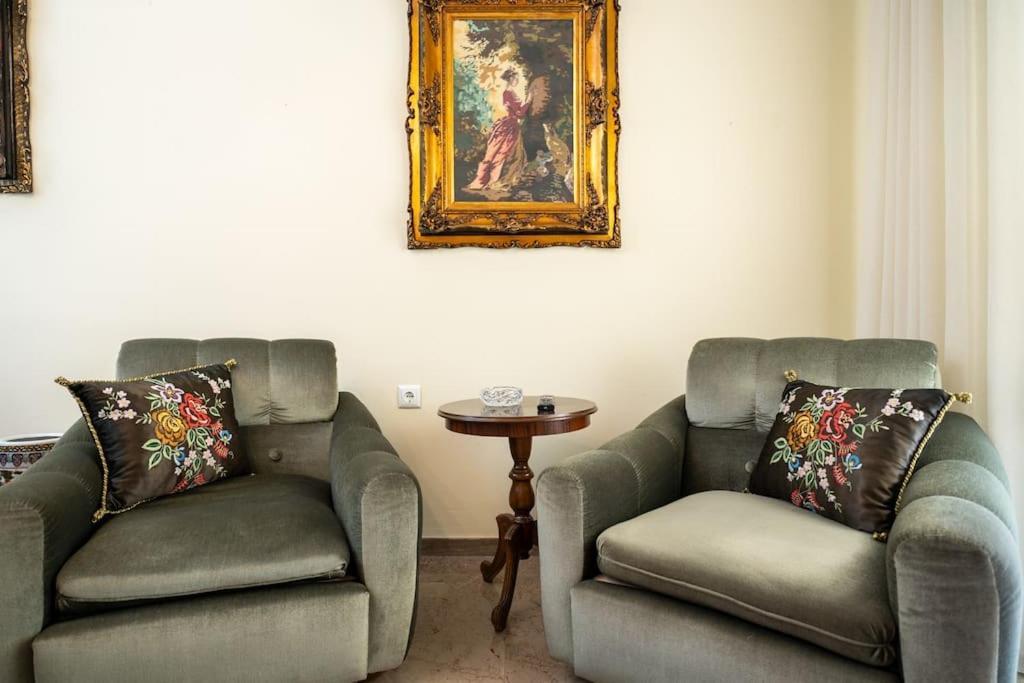 Theoni Central Apartment Kalampáka Luaran gambar