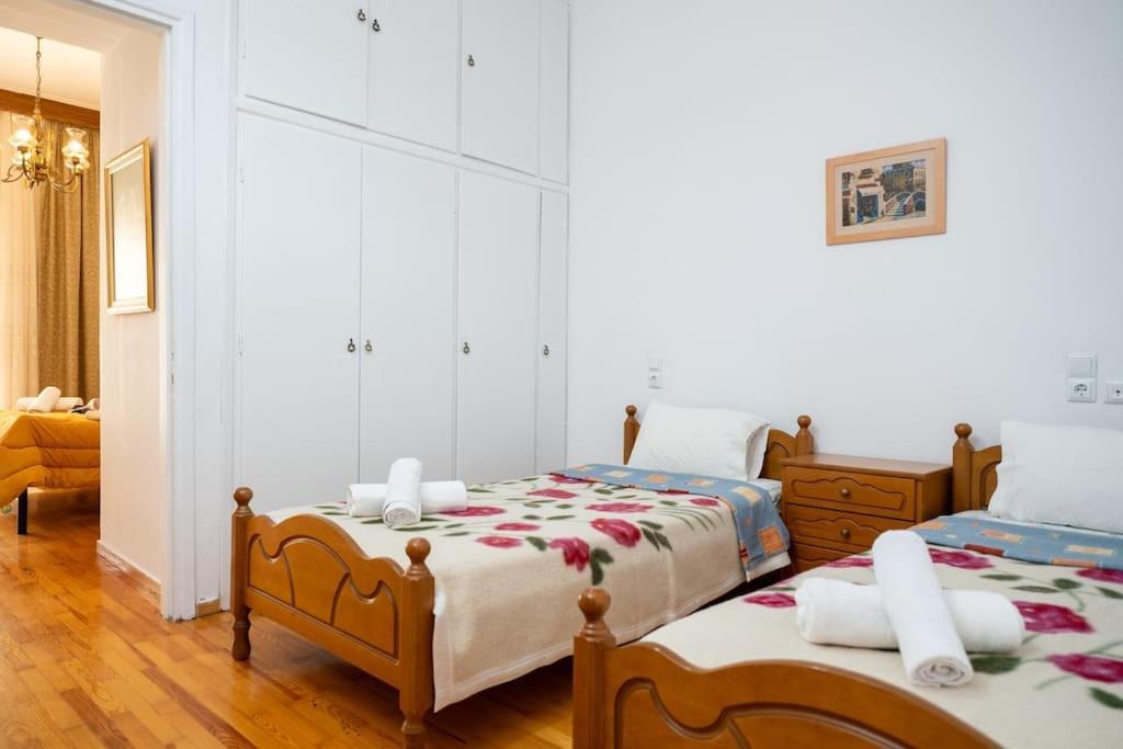 Theoni Central Apartment Kalampáka Luaran gambar