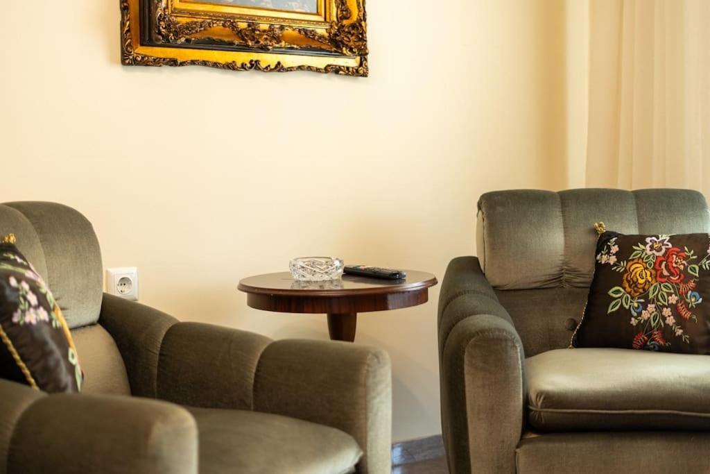 Theoni Central Apartment Kalampáka Luaran gambar
