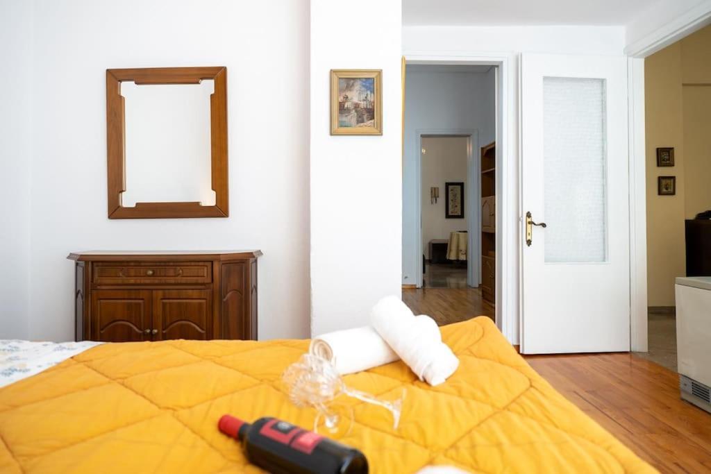 Theoni Central Apartment Kalampáka Luaran gambar