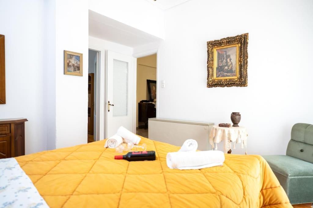 Theoni Central Apartment Kalampáka Luaran gambar