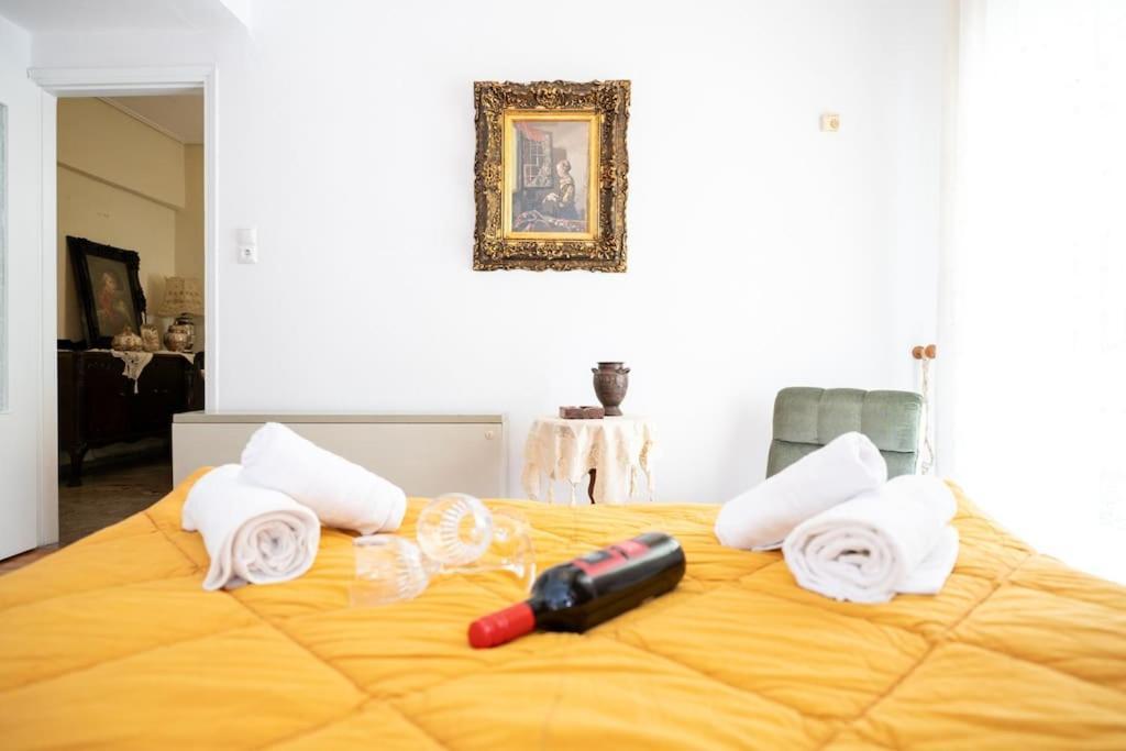 Theoni Central Apartment Kalampáka Luaran gambar